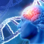 alzheimer's prevention