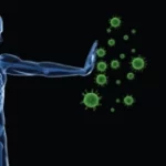 immune system booster