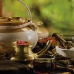 AYURVEDIC PRACTITIONERS