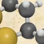 what is alpha lipoic acid