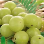 Ayurvedic Herbs for Asthma