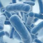 antibiotics