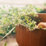 7 Surprising Home Remedies for Acid Reflux